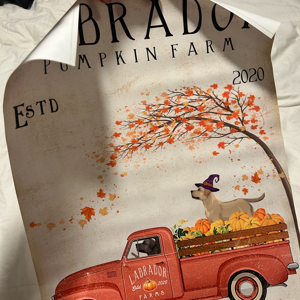 Labrador Pumpkin Farm Fall Truck Wall Art - Red, Orange, Cream
